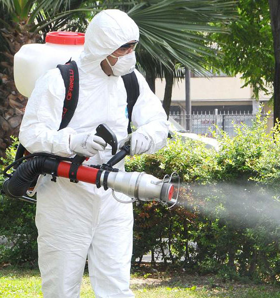 Pest Prevention chennai