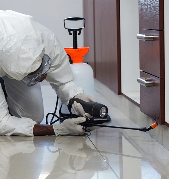 Commercial pest control service in chennai