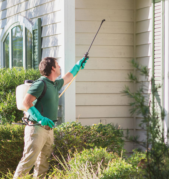 Residential Pest Control Service in chennai