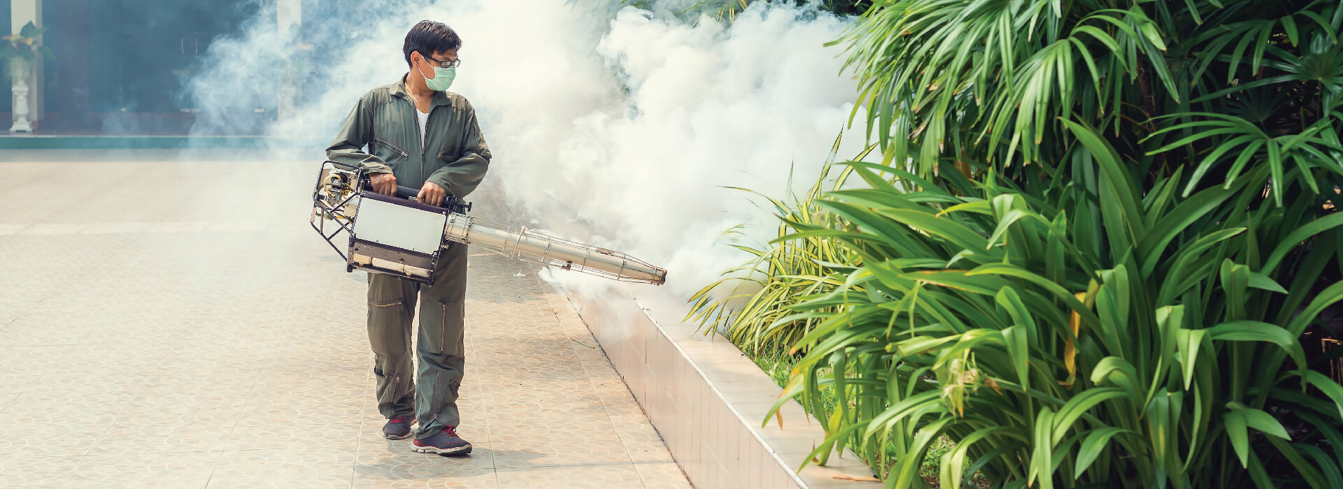 Pest Control Services Chennai